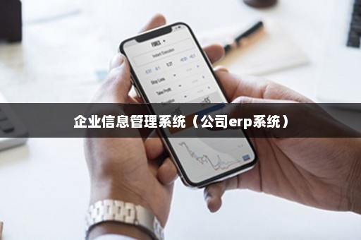 企业信息管理系统（公司erp系统）1xbet体育app(图1)