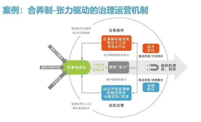 1xbet体育官方网站青色组织：内卷时代我们需要的全新组织范式｜复杂系统管理学(图13)