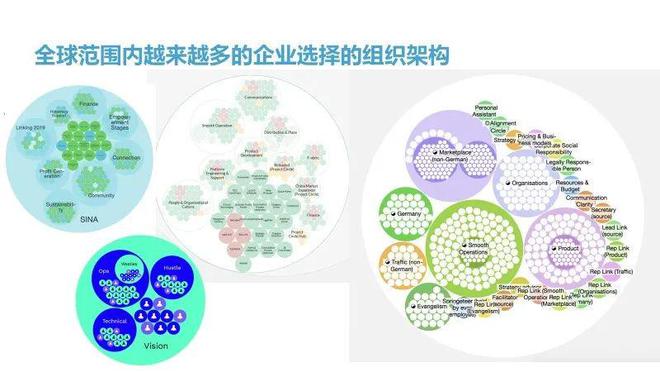 1xbet体育官方网站青色组织：内卷时代我们需要的全新组织范式｜复杂系统管理学(图10)