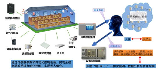 肉鸡立体养殖技术指导1xbet体育意见(图6)