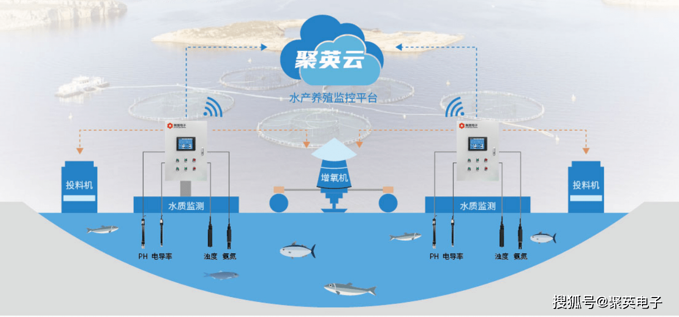 1xbet体育app：智慧渔业管理系统走向科技化养殖之路(图9)